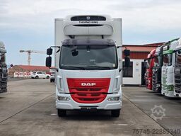 DAF LF 290 FA * THERMOKING T-1000R *PHARMA*1.5T LBW