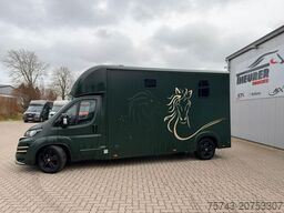 FIAT Ducato  EXKLUSIVE Hengstmodel