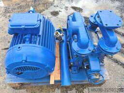 Siemen & Hinsch LPHY60520