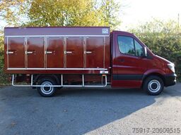 MERCEDES-BENZ Sprinter 310  Cold Car -33°C ATP 05/29 Euro 6