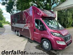 Fiat Ducato Bloomfields 1-2 Pferde Wohnung