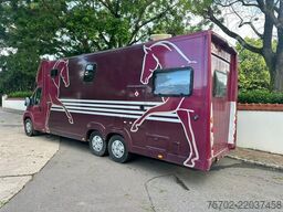 Fiat Ducato Bloomfields 1-2 Pferde Wohnung