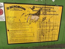 Bergmann PS 8100E