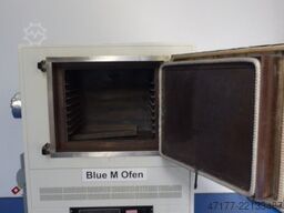 TPS Blue-M CW-7780-JY-MP550 704°C