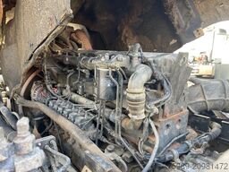 DAF XF 95.480 Manual