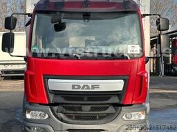 DAF LF 280 4x2 BL 1.Stock Viehwagen ACC LDW CAM