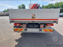 SCANIA Lunga Distanza B 18 - R20N DC13 450 B 4x2 NB