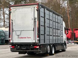 SCANIA R500 6x2/4 LL 4.Stock Menke Tränke Hubdach