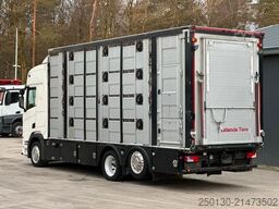 SCANIA R500 6x2/4 LL 4.Stock Menke Tränke Hubdach