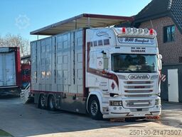 SCANIA R520 6x2 LL 4.Stock Menke Hubdach Tränke Retarde
