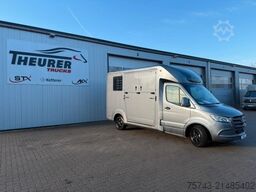 MERCEDES-BENZ STX Sprinter  3.500KG  Haras Hengste