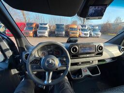 MERCEDES-BENZ STX Sprinter  3.500KG  Haras Hengste