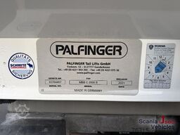 Scania P 320 NB - THERMO KING - SCHMITZ CARGOBULL - LBW