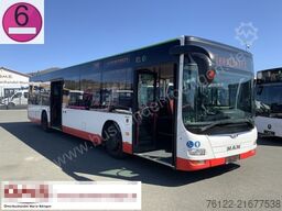 MAN A 37 Lions City / O 530 Citaro
