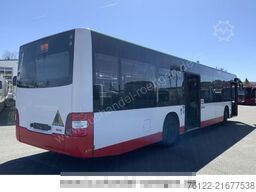 MAN A 37 Lions City / O 530 Citaro