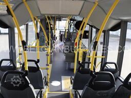 Van Hool A360 / Citybus / Daf Euro6 / Citaro / A21