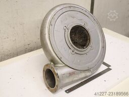 Dietz DG 71 b 1286