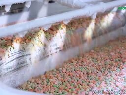 Air Products IQF Freezer Stikstofvriezer – Freshline