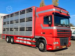 DAF XF 95.430 BERDEX  3 decks.  Water, fans, Scales...