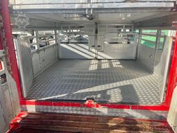 DAF XF 95.430 BERDEX  3 decks.  Water, fans, Scales...