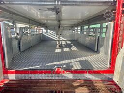 DAF XF 95.430 BERDEX 3 decks. Water, fans, Scales! ...