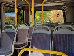 MERCEDES-BENZ Frontniederflur Sprinter 515/517  Daily