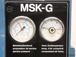 Mahle MSK G11