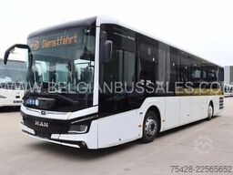 MAN Lion's Intercity LE / Citybus / 12C / Citaro LE...