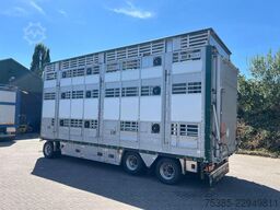 Pezzaioli RBA31G Livestock 1/2/3