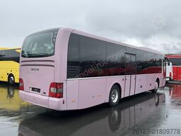 MAN R 12 Lions Regio
