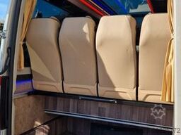 MERCEDES-BENZ 519 und 517 Glasdach XXL  20 Sitze Stock