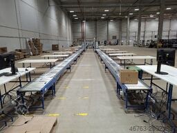 AMI Rollenförderer ARF50-130