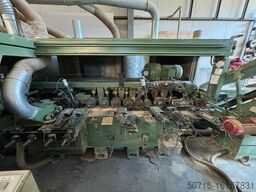 System TM Weinig Bison / Angus Hydromat