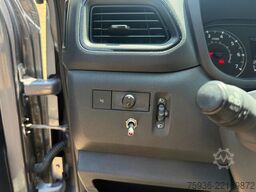 Renault Master STX S3 Paardenwagen Automaat Hengsten ui...