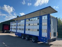 Finkl Livestock 1/2/3 stock type 2