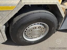Scania G490 CB 10x4 Isol. Kipper