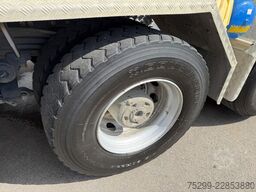 Scania G490 CB 10x4 Isol. Kipper
