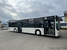 MAN A 20  Citaro Ü  KLIMA  EEV  nice  GURTE