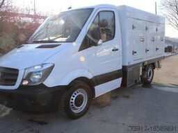 MERCEDES-BENZ 310cdi ColdCar -33°C, 3+3 Euro 5