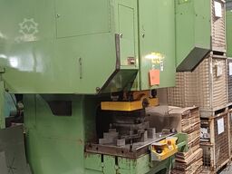 KIESERLING Pedru 100