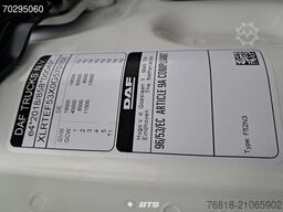 DAF XG 480 4X2 FT - Kamera + MX + Achslastüberwachun