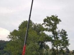 Magni RTH 6.30 SH / Fällkran / Westtech CS750