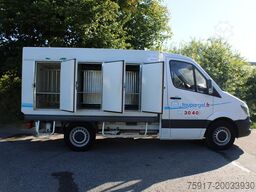 MERCEDES-BENZ Sprinter 310 ColdCar 3+3 Türen -33°C