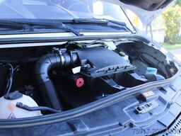 MERCEDES-BENZ Sprinter 310 ColdCar 3+3 Türen -33°C