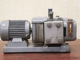 Werie Rietschle CLE15 DV