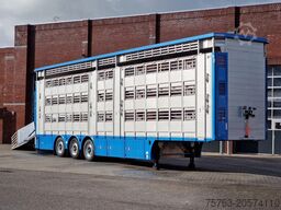 Pezzaioli New 3 stock livestock trailer 95.4M2 - Water & ...