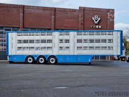Pezzaioli New 3 stock livestock trailer 95.4M2 - Water & ...
