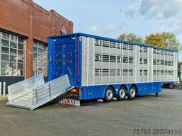 Pezzaioli New 3 stock livestock trailer 95.4M2 - Water & ...