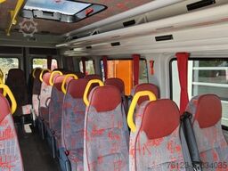 VOLKSWAGEN 3 x MAN TGE Lagerfahrzeug baugleich Crafter