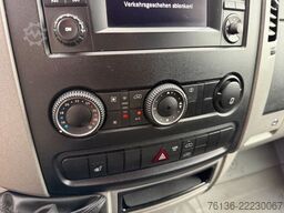 MERCEDES-BENZ Sprinter 316 CDI Ladebordwand Klima Standheizung